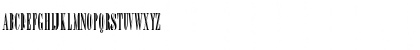Download Bordeaux Display Std Regular Font Uppercase Preview