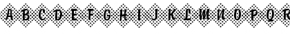 Download Brody45 Becker Regular Font Uppercase Preview