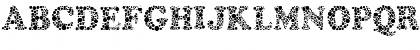Download Amydor Regular Font Uppercase Preview