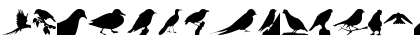 Download Birds TFB Regular Font Uppercase Preview