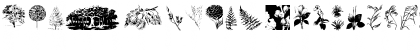 Download Botanicals Regular Font Uppercase Preview