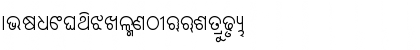 Download Maan Normal Odia Akhayara Odia Akhayara Font Uppercase Preview