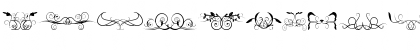 Download Ornaments soul Regular Font Uppercase Preview