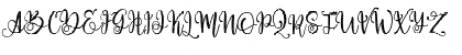 Download Paradiso Vintage Demo Regular Font Uppercase Preview