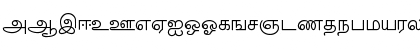 Download TM-TTValluvar Normal Font