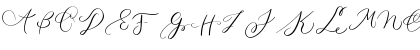 Download MONOGRAM P Regular Font