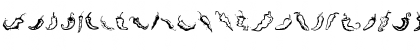 Download ChiliPepper Dingbats Regular Font Uppercase Preview