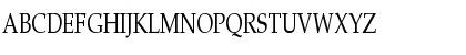 Download Palatino-Roman Cn Regular Font Uppercase Preview