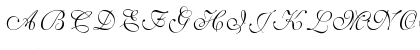 Download Wedding Script Bail Regular Font Uppercase Preview