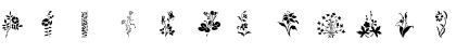 Download Wildflowers1 Regular Font Uppercase Preview