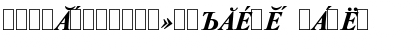 Download TimesET Chuvash Bold Italic Font