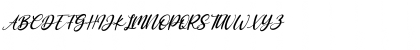 Download Antoinete Italic Regular Font Uppercase Preview