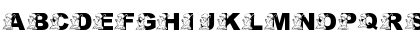 Download pf_boyo-3 Regular Font Uppercase Preview