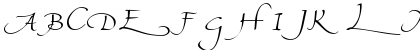 Download PT Florentine Swash Caps Regular Font Uppercase Preview