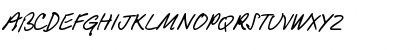 Download PT Script (Unreg.) Barguzin Regular Font Uppercase Preview