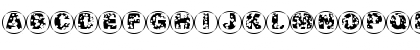 Download SwissCheeseCircles02 Regular Font