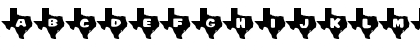 Download Texas Regular Font Uppercase Preview