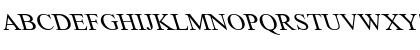 Download Times New Roman Backslanted Regular Font