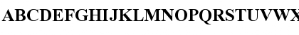 Download Times New Roman Digiscream Bold Font