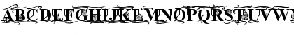 Download Times Old Attic Bold Font