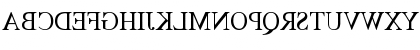 Download TimesMirror Regular Font