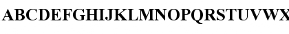 Download TimesNewRomanPS BoldMT Font Uppercase Preview