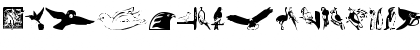 Download tungfont bird Regular Font Uppercase Preview