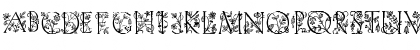 Download Eve Initials Regular Font Uppercase Preview