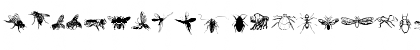 Download Insects Regular Font Uppercase Preview