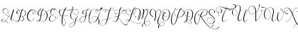 Download Wenny script Regular Font Uppercase Preview