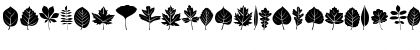 Download Leaves Medium Font Uppercase Preview