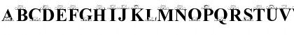 Download New Regular Font Uppercase Preview