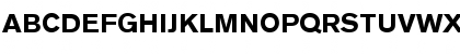 Download BertholdAkzidenzGroteskBE Bold Font Uppercase Preview