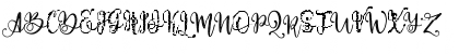 Download Paradiso Vintage Demo Regular Font Uppercase Preview