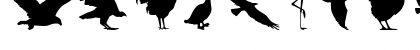 Download Birds of a Feather Regular Font Uppercase Preview