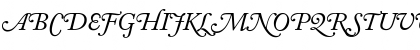Download AdobeCaslonSwash RomanItalic Font Uppercase Preview