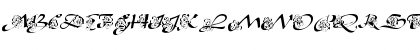 Download AL Princess Jasmine Regular Font Uppercase Preview