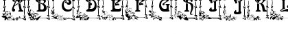 Download Arnold BocklinC Initial One Regular Font Uppercase Preview