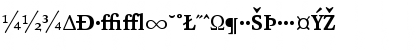 Download AtmaSerifExp-BoldRoman Regular Font Uppercase Preview