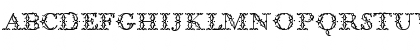 Download BodoniClassic FloralInitials Font Uppercase Preview