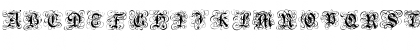 Download Gothic Flourish Regular Font Uppercase Preview