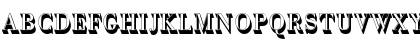 Download BodoniAntTLigSh1 Regular Font Uppercase Preview