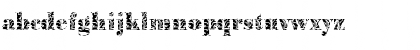 Download BodoniPlant Regular Font Lowercase Preview