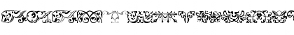 Download Baroque Ornaments Regular Font Lowercase Preview