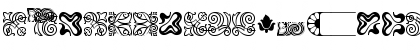 Download Borders Ornaments P03 Regular Font Lowercase Preview