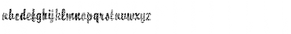 Download Brody18 Becker Regular Font Lowercase Preview