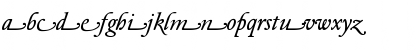 Download DTLElzevirTBookSwash Italic Font Lowercase Preview