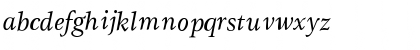 Download Gamma BookItalic Font Lowercase Preview