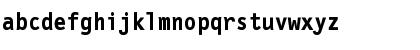 Download LetterGothicMono Bold Font Lowercase Preview