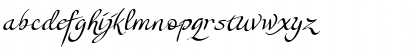 Download Lorelei Script Script Font Lowercase Preview